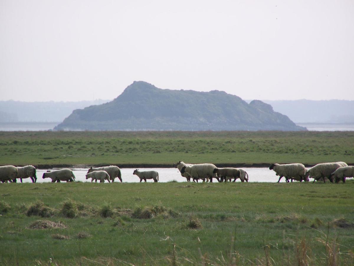 Charmante Maison De Pecheur En Baie Du Mont Saint Michel Genêts Eksteriør billede