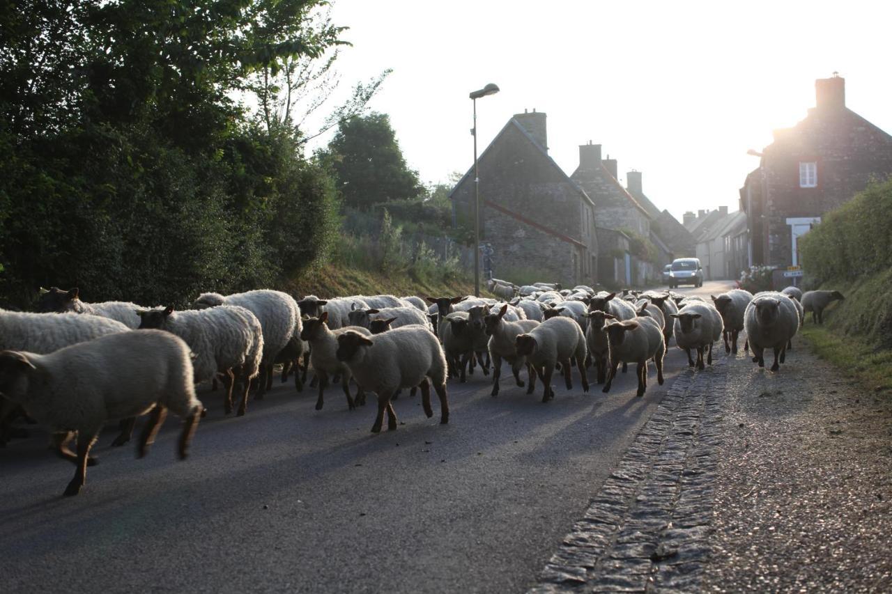 Charmante Maison De Pecheur En Baie Du Mont Saint Michel Genêts Eksteriør billede